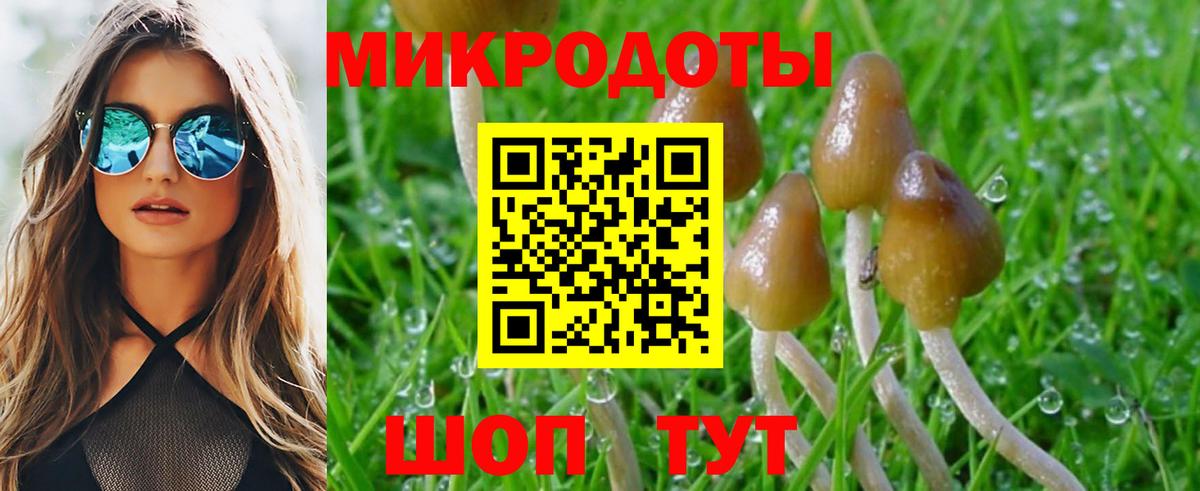 Галлюциногенные грибы MAGIC MUSHROOMS  Вход с VPN  Галлюциногенные грибы GOLDEN TEACHER  Гусь-Хрустальный 